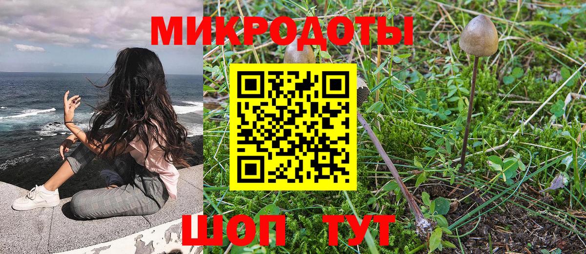 где купить наркоту  Вход с VPN  Щёкино  Галлюциногенные грибы Psilocybine cubensis 
